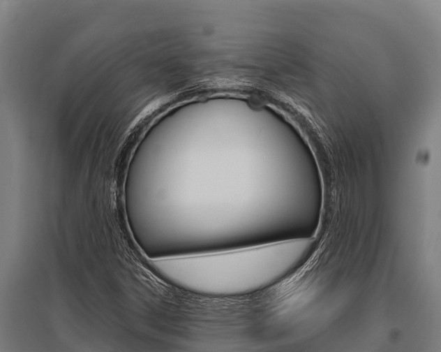 X0000096141306200801180843