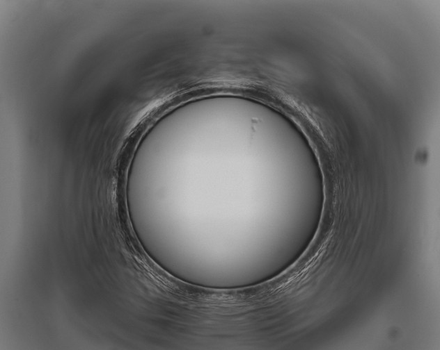 X0000096141307200801180843