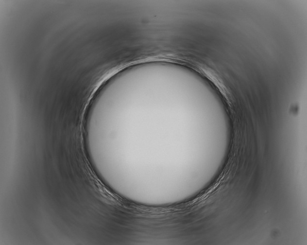 X0000096141308200801180843
