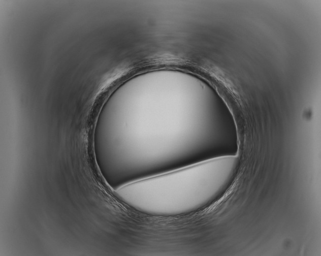X0000096141309200801180843