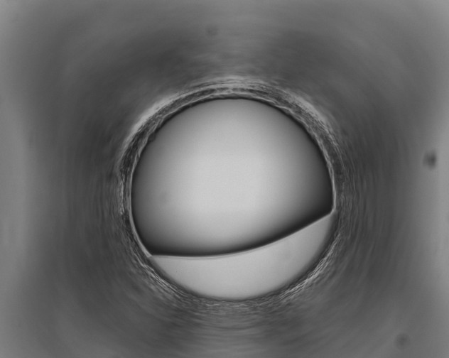 X0000096141310200801180843