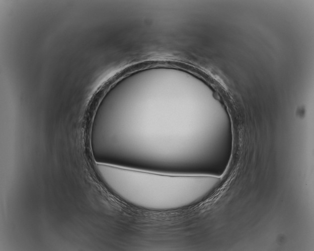 X0000096141311200801180843