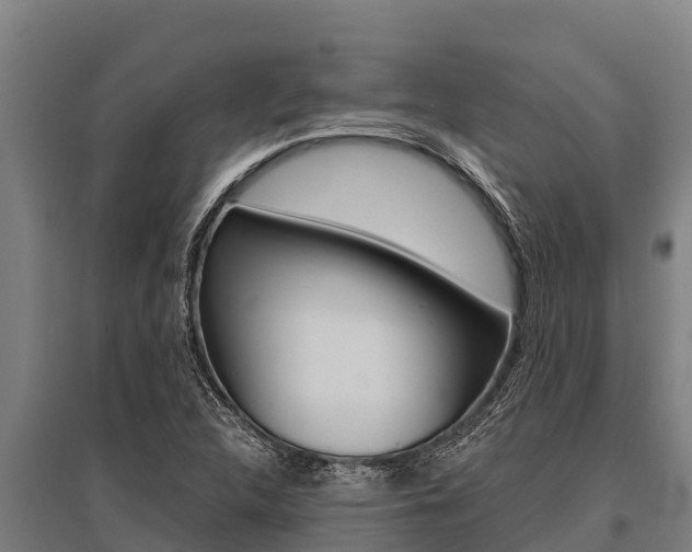 X0000096141312200801180843