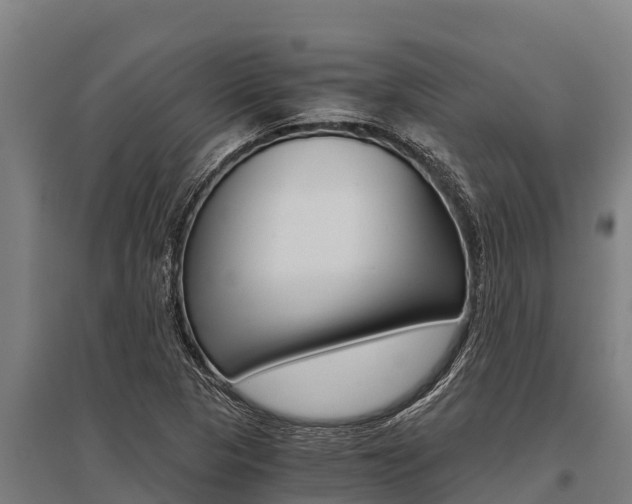X0000096141313200801180843