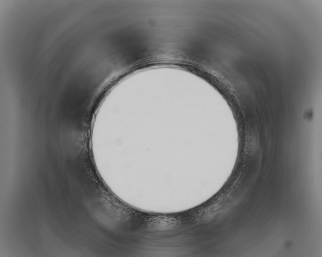 X0000096141314200801180843