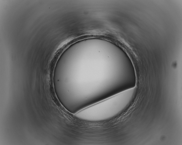 X0000096141315200801180843
