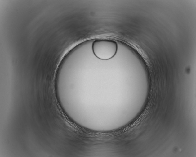 X0000096141316200801180843