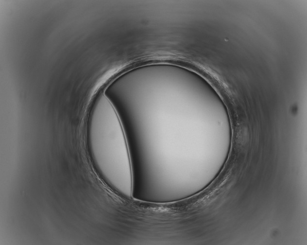 X0000096141317200801180843