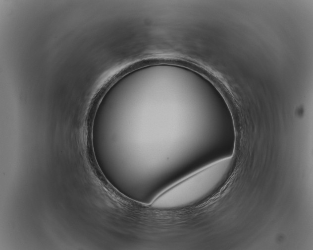 X0000096141319200801180843