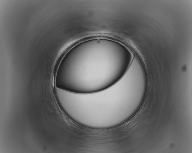 X0000096141320200801180843