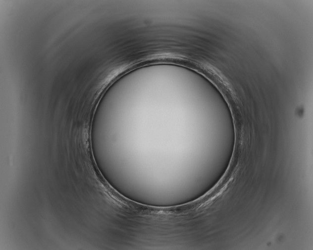 X0000096141321200801180843