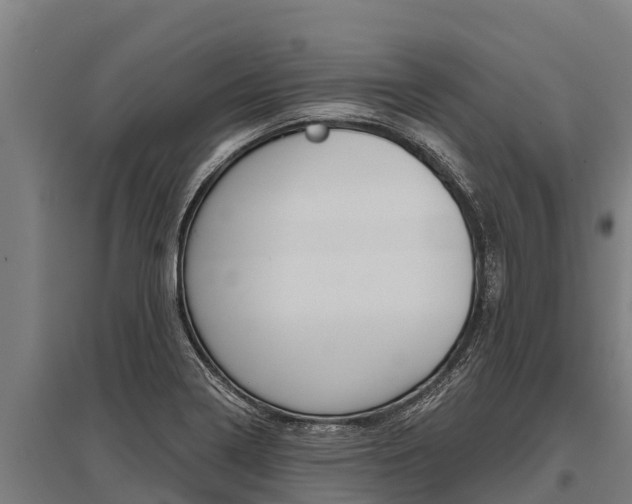 X0000096141322200801180843
