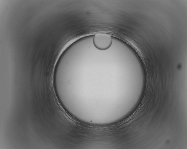 X0000096141324200801180843