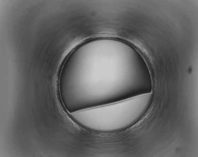 X0000096141325200801180843