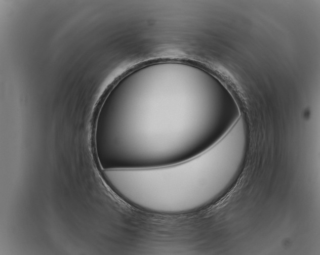 X0000096141326200801180843