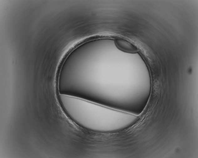 X0000096141327200801180843