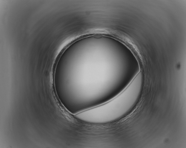 X0000096141328200801180843