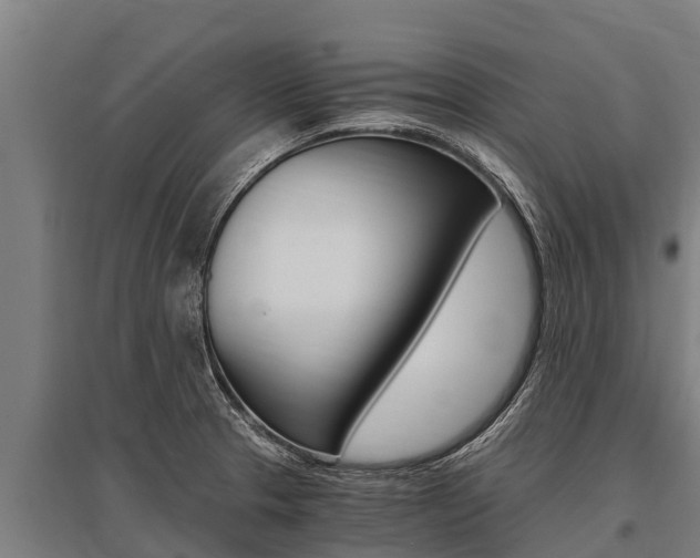 X0000096141329200801180843