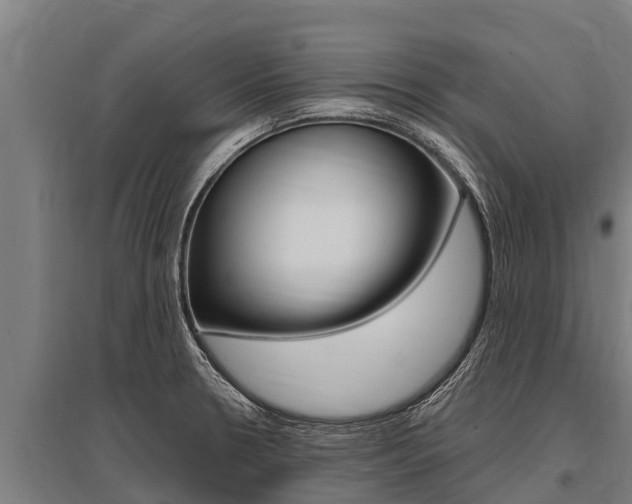 X0000096141330200801180843