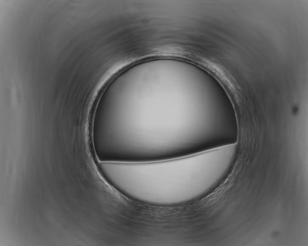 X0000096141331200801180843