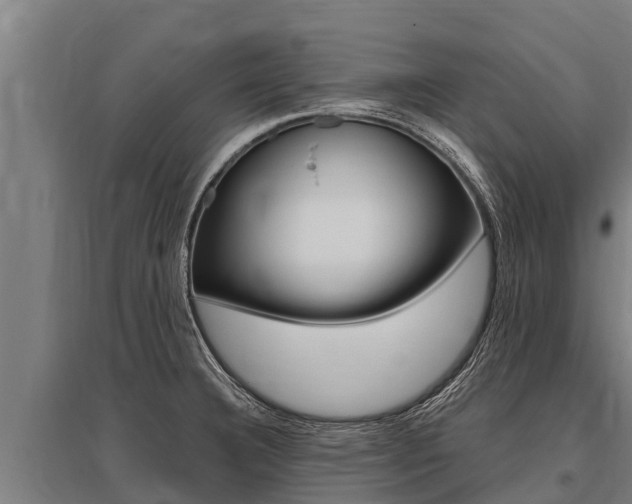 X0000096141332200801180843