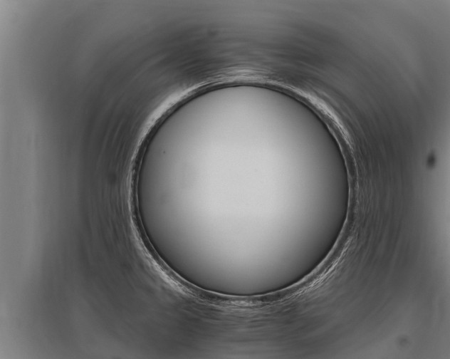 X0000096141333200801180843