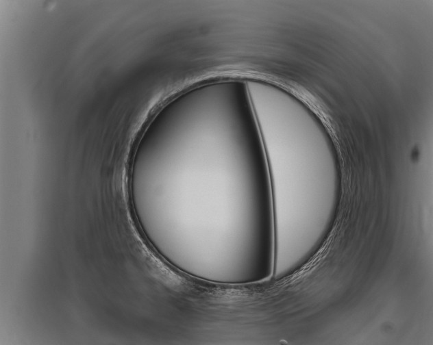 X0000096141334200801180843