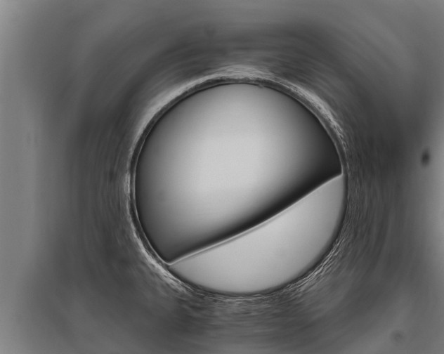 X0000096141335200801180843