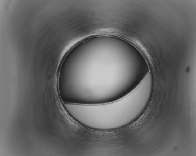 X0000096141336200801180843