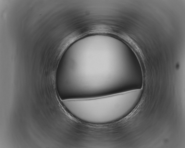 X0000096141337200801180843