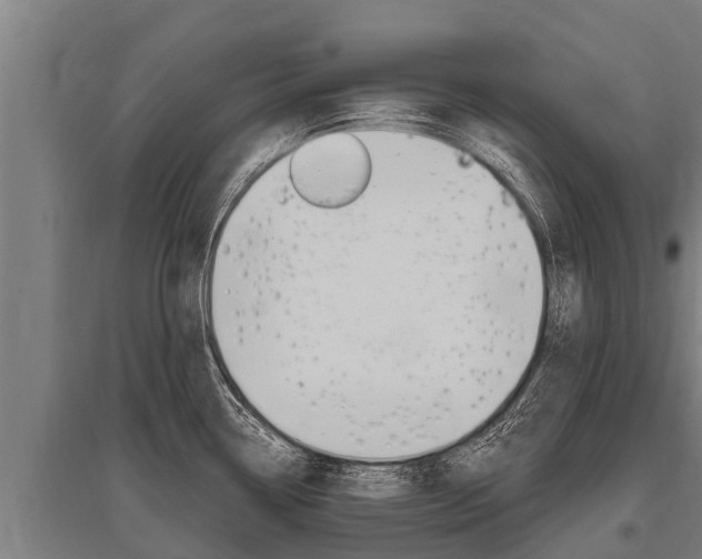 X0000096141338200801180843