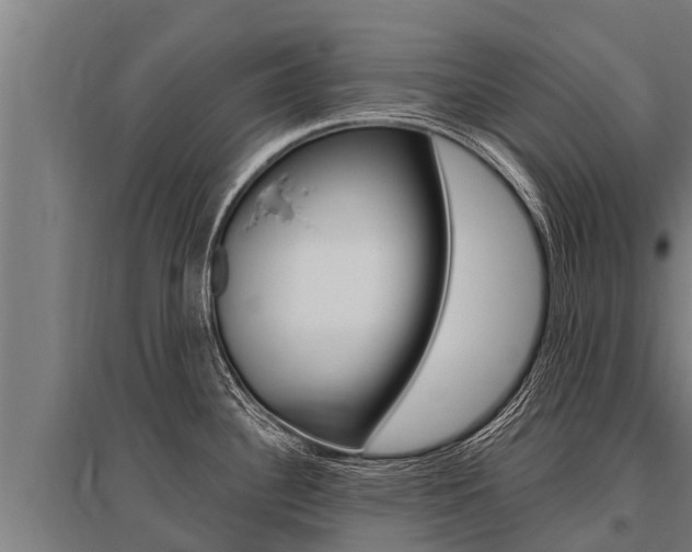 X0000096141340200801180843