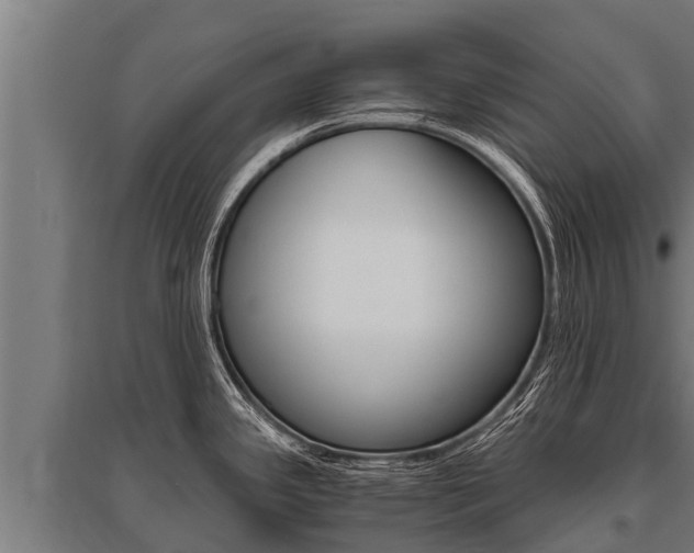 X0000096141341200801180843
