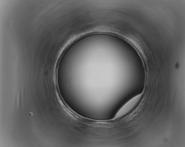 X0000096141342200801180843