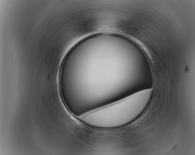 X0000096141343200801180843
