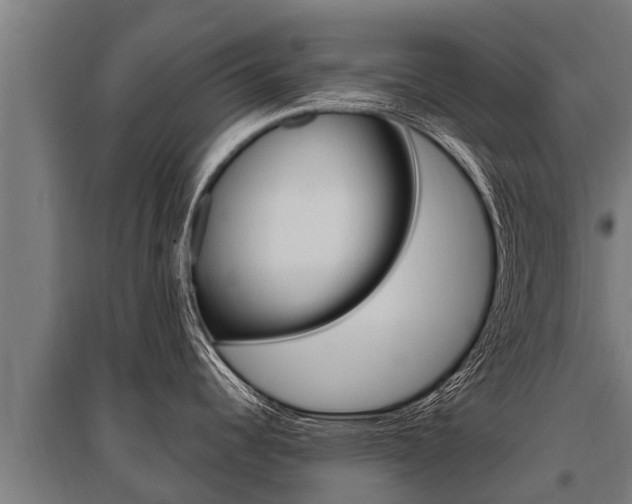 X0000096141344200801180843