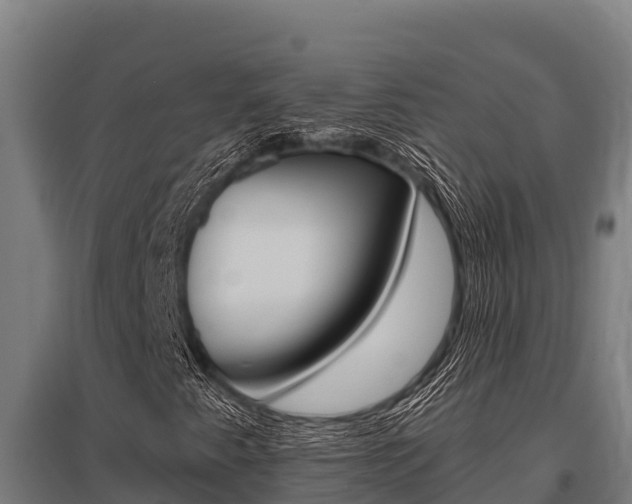 X0000096141345200801180843