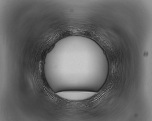 X0000096141346200801180842