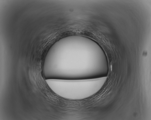 X0000096141347200801180842