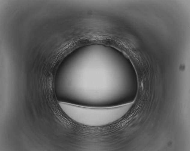 X0000096141348200801180842