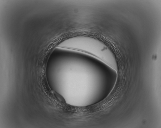 X0000096141349200801180842