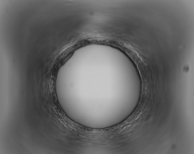 X0000096141350200801180842