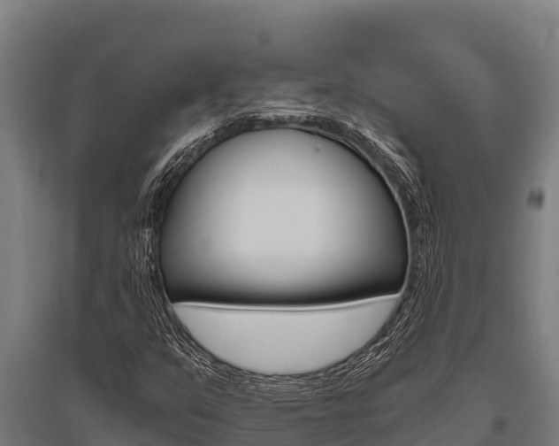 X0000096141351200801180842