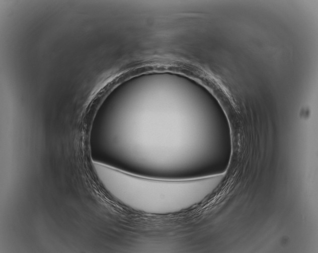 X0000096141352200801180842