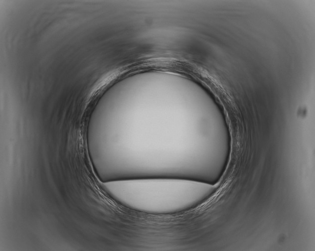 X0000096141354200801180842