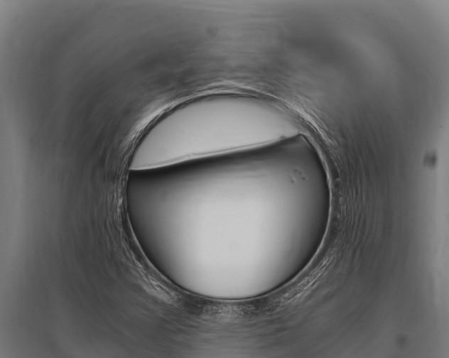 X0000096141355200801180842