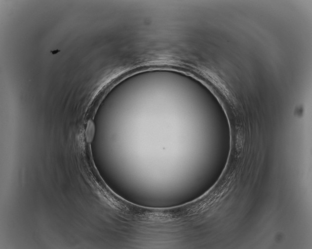 X0000096141356200801180842