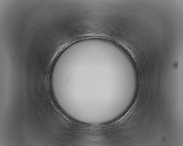 X0000096141357200801180842