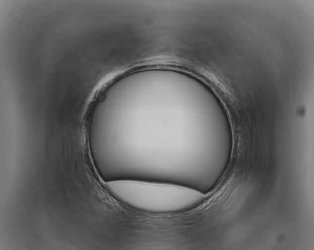 X0000096141358200801180842