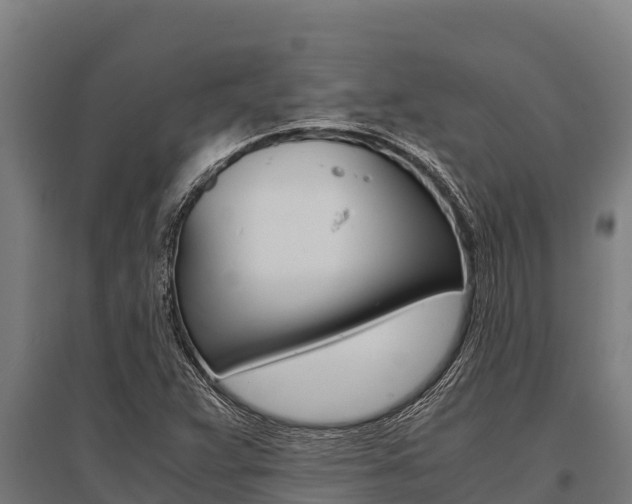 X0000096141359200801180842